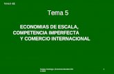 Tema 5 -EE Teresa Domingo- Economia Mundial 2002-2003 1 Tema 5 ECONOMIAS DE ESCALA, COMPETENCIA IMPERFECTA Y COMERCIO INTERNACIONAL