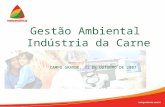 Gestão Ambiental Indústria da Carne CAMPO GRANDE, 31 DE OUTUBRO DE 2007.