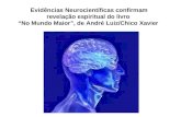 Evidências Neurocientíficas confirmam revelação espiritual do livro No Mundo Maior, de André Luiz/Chico Xavier.