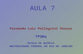 AULA 7 Fernando Luiz Pellegrini Pessoa TPQBq ESCOLA DE QUÍMICA UNIVERSIDADE FEDERAL DO RIO DE JANEIRO.