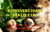 BIODIVERSIDADE BRASILEIRA BIOLOGIA – YES, WE CAN! Prof. Thiago Moraes Lima.