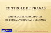 EMPRESAS BENEFICIADORAS DE FRUTAS, VERDURAS E LEGUMES 4727-2350 - desinseto@uol.com.br - @uol.com.br.