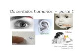 Visão Tato Audição Paladar Olfato Os sentidos humanos – parte 1 Colégio INEDI Prof. Luiz Antônio Tomaz Turmas 71 e 72.