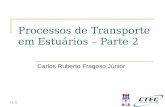 11:11 Processos de Transporte em Estuários – Parte 2 Carlos Ruberto Fragoso Júnior.