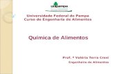 Universidade Federal do Pampa Curso de Engenharia de Alimentos Química de Alimentos Prof. ª Valéria Terra Crexi Engenheira de Alimentos.