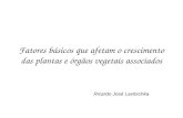 Fatores básicos que afetam o crescimento das plantas e órgãos vegetais associados Ricardo José Lavitschka.