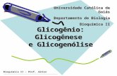 Bioquímica II – Prof. Júnior Glicogênio: Glicogênese e Glicogenólise Universidade Católica de Goiás Departamento de Biologia Bioquímica II.