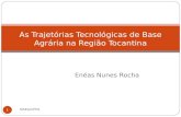 Enéas Nunes Rocha As Trajetórias Tecnológicas de Base Agrária na Região Tocantina 1 NAEA/UFPA.