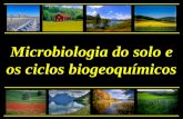 Microbiologia do solo e os ciclos biogeoquímicos.