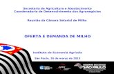 Secretaria de Agricultura e Abastecimento Coordenadoria de Desenvolvimento dos Agronegócios Reunião da Câmara Setorial de Milho OFERTA E DEMANDA DE MILHO.