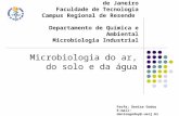 Universidade do Estado do Rio de Janeiro Faculdade de Tecnologia Campus Regional de Resende Departamento de Química e Ambiental Microbiologia Industrial.