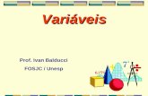 Variáveis Prof. Ivan Balducci FOSJC / Unesp. Tipos de Variáveis.
