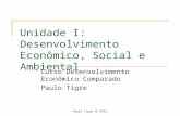 Paulo Tigre IE-UFRJ Unidade I: Desenvolvimento Econômico, Social e Ambiental Curso Desenvolvimento Econômico Comparado Paulo Tigre.
