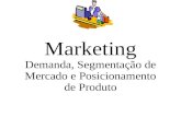 Marketing Demanda, Segmentação de Mercado e Posicionamento de Produto.