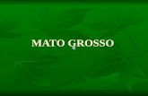 MATO GROSSO. O Mato Grosso é uma das 27 unidades federativas do Brasil. Está localizado na região Centro-Oeste. Tem a porção norte de seu território.