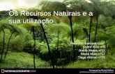 Os Recursos Naturais e a sua utilização Trabalho realizado por: André Riso nº5 Joana Matos nº11 Maria Maia nº17 Tiago Afonso nº25.