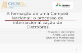 1 Nivalde J. de Castro André Luis Leite Graciella Martignago Gabriela Fiates A formação de uma Campeã Nacional: o processo de internacionalização da Eletrobras.