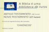 A Bíblia é uma biblioteca de livros ANTIGO TESTAMENTO (46 livros) NOVO TESTAMENTO (27 livros) Os livros da Sagrada Escritura são chamados CANÓNICOS Veremos.