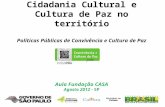 Cidadania Cultural e Cultura de Paz no território Políticas Públicas de Convivência e Cultura de Paz Aula Fundação CASA Agosto 2012 - SP.