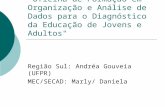 "Oficina de Formação em Organização e Análise de Dados para o Diagnóstico da Educação de Jovens e Adultos" Região Sul: Andréa Gouveia (UFPR) MEC/SECAD:
