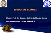ESCOLA DE QUÍMICA Diretor: Prof. Dr. Osvaldo Galvão Caldas da Cunha Vice-diretor: Prof. Dr. Nei Pereira Jr.