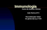 Immunologia Curso de Análises Clinicas Aula Teórica Nº 5 Recombinação V(D)J: Os genes das Ig e TCR.