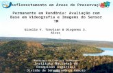Giselle V. Trevisan & Diogenes S. Alves Desflorestamento em Áreas de Preservação Permanente em Rondônia: Avaliação com Base em Videografia e Imagens do.