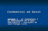 Condomínio em Geral UNIDADE X - DO CONDOMÍNIO E DA PROPRIEDADE EM PLANOS HORIZONTAIS - Inovações do novo Código Civil.