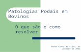 Pedro Cunha da Silva, de Janeiro de 2012 Patologias Podais em Bovinos O que são e como resolver.