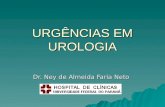 URGÊNCIAS EM UROLOGIA Dr. Ney de Almeida Faria Neto.