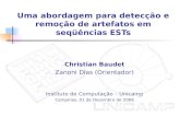 Uma abordagem para detecção e remoção de artefatos em seqüências ESTs Christian Baudet Zanoni Dias (Orientador) Instituto de Computação – Unicamp Campinas,