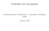 Trabalho de Geografia Componentes: Guilherme F., Leonardo, Rodrigo Tales Turma: 204.