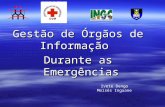 Gestão de Órgãos de Informação Durante as Emergências Ivete Dengo Moisés Inguane.