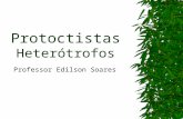 Protoctistas Heterótrofos Professor Edilson Soares.