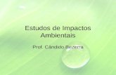 Estudos de Impactos Ambientais Prof. Cândido Bezerra.