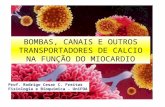 BOMBAS, CANAIS E OUTROS TRANSPORTADORES DE CALCIO NA FUNÇÃO DO MIOCARDIO Prof. Rodrigo Cesar C. Freitas Fisiologia e Bioquimica - UniFOA.