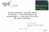 Marsis Cabral Junior Seção de Recursos Minerais e Tecnologia Cerâmica - SRM / CT-Obras Goiânia 2010 Extensionismo voltado para inserção e disseminação.