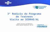 André Feitoza de Mendonça andre.mendonca@sebrae.com.br 3º Rodízio do Programa de Trainees Visita ao SEBRAE/AL.