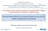 MONITORAMENTO DE AGROTÓXICOS NA ÁGUA PARA CONSUMO HUMANO Ministério da Saúde Secretaria de Vigilância em Saúde Departamento de Vigilância em Saúde Ambiental.