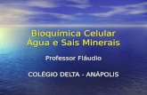 Bioquímica Celular Água e Sais Minerais Professor Fláudio COLÉGIO DELTA - ANÁPOLIS.