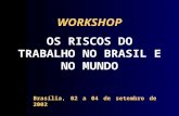 WORKSHOP OS RISCOS DO TRABALHO NO BRASIL E NO MUNDO Brasília, 02 a 04 de setembro de 2002.