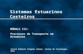 Sistemas Estuarinos Costeiros Carlos Ruberto Fragoso Júnior, Centro de Tecnologia, UFAL MÓDULO III: Processos de Transporte em Estuários.