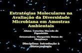 Disciplina: Introdução à Biotecnologia Estratégias Moleculares na Avaliação da Diversidade Microbiana em Amostras Ambientais Aluna: Catarina Macedo de.