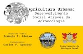 Agricultura Urbana: Desenvolvimento Social Através da Agroecologia Departamento de Biologia Geral Bolsista PIBEX: Izabela F. Aleixo Coordenador: Carlos.