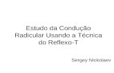 Estudo da Condução Radicular Usando a Técnica do Reflexo-T Sergey Nickolaev.