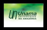 Educação para o desenvolvimento da Amazônia Ciclos Econômicos e as Organizações CESFE A UNAMA no Brasil. A Implementação de um Ciclo O Ápice do Ciclo.