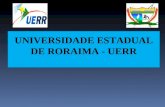 UNIVERSIDADE ESTADUAL DE RORAIMA - UERR. COMUNICAÇÃO ORAL E ESCRITA PROFESSORA: ROSICLEI LIBERAL.