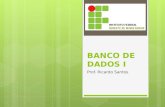 BANCO DE DADOS I Prof. Ricardo Santos. BANCO DE DADOS I MOTIVAÇÃO Necessidade de gerência de um grande volume de dados, a fim de gerar informações que.
