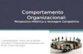 Comportamento Organizacional: Perspectiva Histórica e Vantagem Competitiva UNIVERSIDADE VEIGA DE ALMEIDA Disciplina: Comportamento Organizacional Profa.