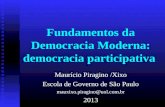 Fundamentos da Democracia Moderna: democracia participativa Maurício Piragino /Xixo Escola de Governo de São Paulo mauxixo.piragino@uol.com.br2013.